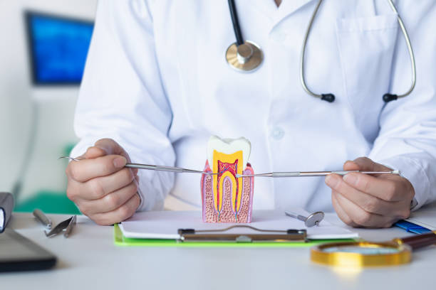 Best Emergency Care for Gum Disease in Baltic, SD
